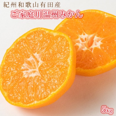 【2026年11月下旬より発送】【ご家庭用訳アリ】紀州有田産濃厚完熟温州みかん　5kg(美浜町)