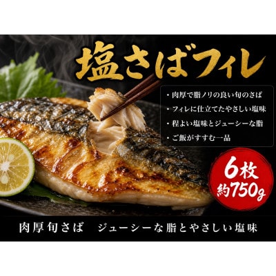 迷ったらコレ!魚鶴商店の天然紅サケ1kg & 塩さばフィレ6枚セット