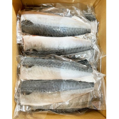 塩さばフィレ24枚入(真空パック入)