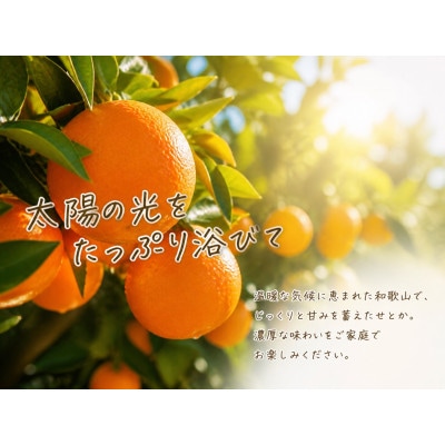 【ご家庭用訳あり】紀州和歌山産　せとか　約5kg