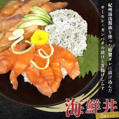 紀州湯浅醤油を使ったサーモンとカンパチの漬け&釜揚げしらすの 海鮮丼 3種セット×2 計600g
