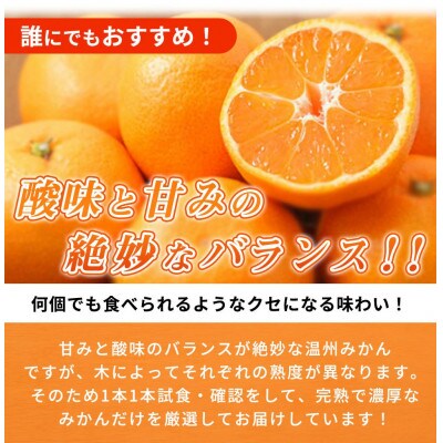 高級ブランド 秀品 紀州有田田村産みかん 3kg