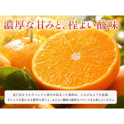 とろける食感!ジューシー柑橘　せとか　約2.5kg