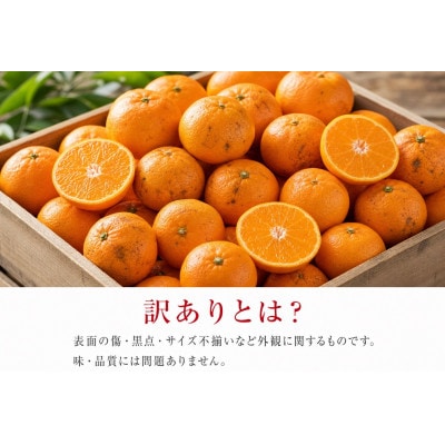 和歌山有田みかん10kg【訳ありご家庭用】2S〜2Lサイズ混合