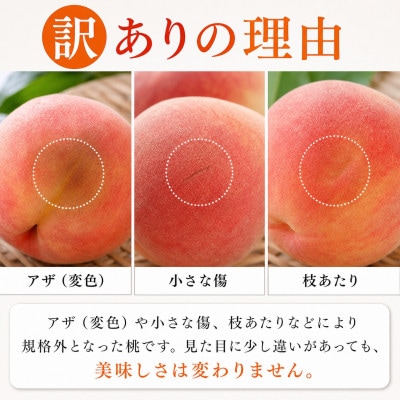 【ご家庭用訳あり】紀州和歌山産の桃　約1.8kg
