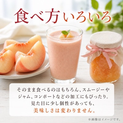 【ご家庭用訳あり】紀州和歌山産の桃　約1.8kg
