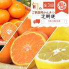 【発送月固定定期便】紀州和歌山産旬のご家庭用柑橘セット(みかん・不知火・レモン)全3回