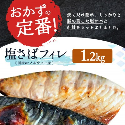 【毎月定期便】【ご家庭用訳あり】人気の塩さばフィレ&紅鮭切身セット計2kg全3回