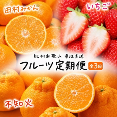 【発送月固定定期便】紀州和歌山産旬のフルーツセット(田村みかん・いちご・紀州デコ)全3回