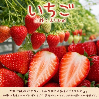 【発送月固定定期便】紀州和歌山産旬のフルーツセット(田村みかん・いちご・紀州デコ)全3回