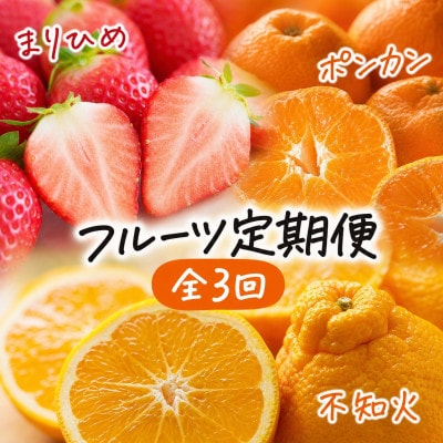 【発送月固定定期便】紀州和歌山産旬のフルーツセット(いちご・ポンカン・紀州デコ)全3回