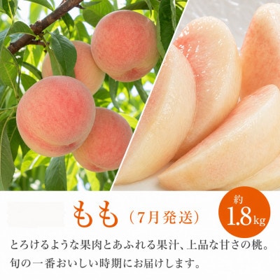 【発送月固定定期便】紀州和歌山産旬のフルーツセット(セミノール・スイカ・桃)全3回