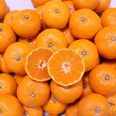 【大玉】 ひだまりみかん家の有田みかん 10kgひとつひとつ手選別で厳選!生産者から直送