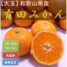 【大玉】 ひだまりみかん家の有田みかん 10kgひとつひとつ手選別で厳選!生産者から直送