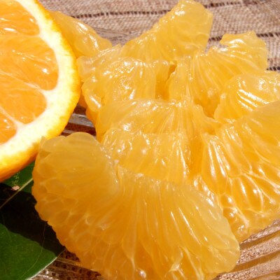 甘夏(あまなつ)秀品[約5kg] 和歌山県有田産 春みかん(果実サイズおまかせ)