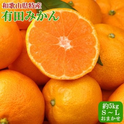 紀州有田みかん約5kg (S～Lサイズおまかせ)