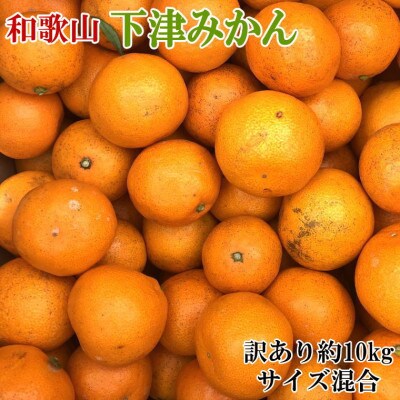 【訳あり】和歌山下津みかん約10kgご家庭用向け(サイズ混合) (美浜町)