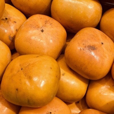 和歌山産貯蔵たねなし柿化粧箱入り(6玉～8玉入り)(美浜町)