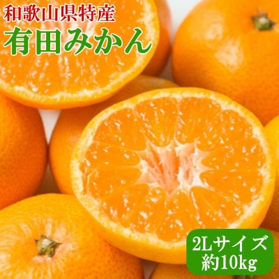 [秀品]和歌山有田みかん約10kg大玉(2Lサイズ)(美浜町)
