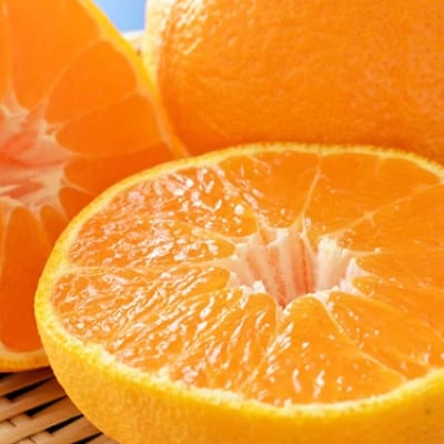 《先行受付》 和歌山有田の濃厚デコポン　15～24玉(約5kg)