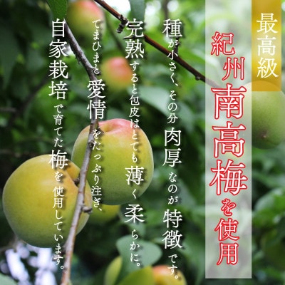 紀州南高梅使用:しそ仕込み完熟梅干し　800g