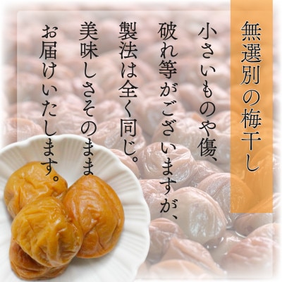 【美浜町】紀州南高梅使用　はちみつうす塩味完熟梅干し 無選別1kg