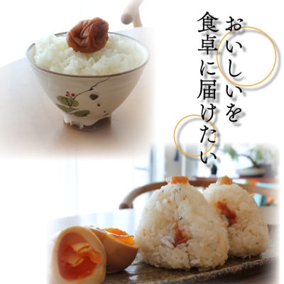 【美浜町】紀州南高梅使用　はちみつうす塩味完熟梅干し 無選別1kg