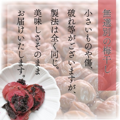 【美浜町】紀州南高梅使用　しそ仕込み完熟梅干し 無選別1kg
