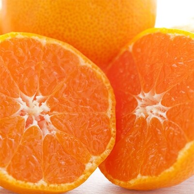 【ブランドみかん】田村みかん約5kg(2Lサイズ・秀品)