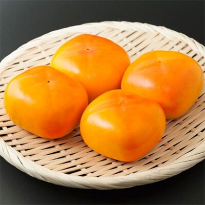 【秋の美味】和歌山の平たねなし柿　約7.5kg