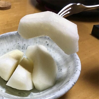 2023年8月上旬頃より順次発送　【夏秋の美味】和歌山の樹上成熟梨　約4kg