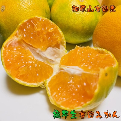 【先行受付・2024年10月発送】【秋の美味】有田育ちの極早生有田みかん　約5kg【ご家庭用】