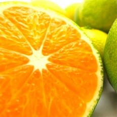 【先行受付 2021年10月発送】【秋の味覚】厳選!濃厚極早生有田みかん 約4kg