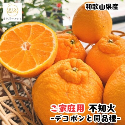 ≪先行予約 2027年1月末～発送≫【大人気柑橘】有田育ちの濃厚不知火(ご家庭用) 5kg