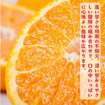 ≪先行予約 2027年1月末～発送≫【大人気柑橘】有田育ちの濃厚不知火(ご家庭用) 5kg