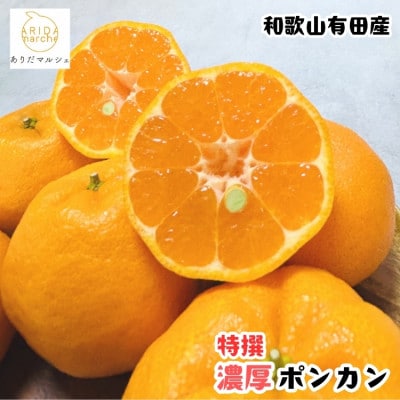 ≪先行予約 2027年1月～発送≫【極甘柑橘】特撰 濃厚ポンカン 1.5kg