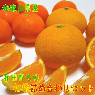 〈先行受付〉【2025年1月中旬より発送】有田育ちの旬の柑橘詰め合わせセット(ご家庭用)約2.5kg