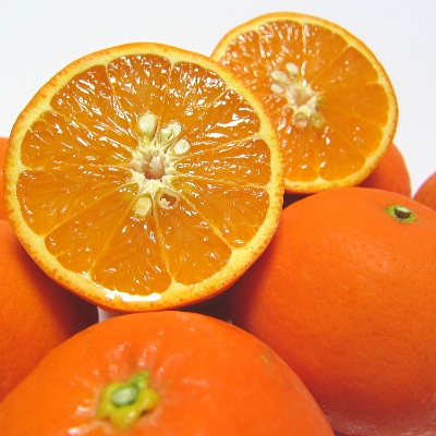 【先行受付】果汁たっぷり有田育ちの爽快セミノールオレンジ(ご家庭用)　約3kg【美浜町】