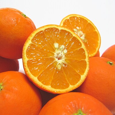 【先行受付】果汁たっぷり有田育ちの爽快セミノールオレンジ(ご家庭用)　約5kg【美浜町】
