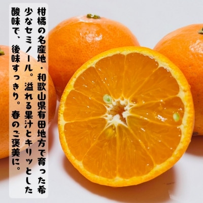 ≪出荷中≫果汁たっぷり有田育ちの爽快セミノールオレンジ(ご家庭用)　5kg【美浜町】