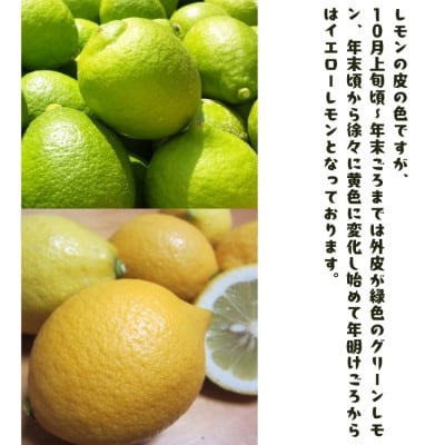 ≪先行予約 2026年9月末～発送≫紀州和歌山　有田レモン 2kg
