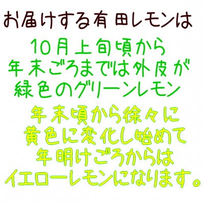 《先行受付》紀州和歌山　ご家庭用訳あり有田レモン　5kg【ノーワックス・ノー防腐剤】