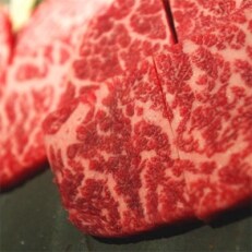 【和歌山県特産和牛】《熊野牛》極上モモ　焼肉用　約500g　A4ランク