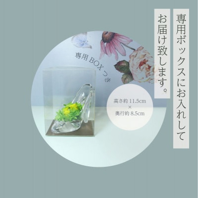 ガラスの靴のプリザーブドフラワー　カラー:グリーン