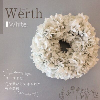 ブリザーブドフラワー　リース <ホワイト>19cm