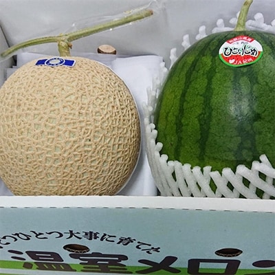 【美浜町】和歌山県産温室アールスメロンと小玉スイカの詰め合わせ(2022年6月より発送)