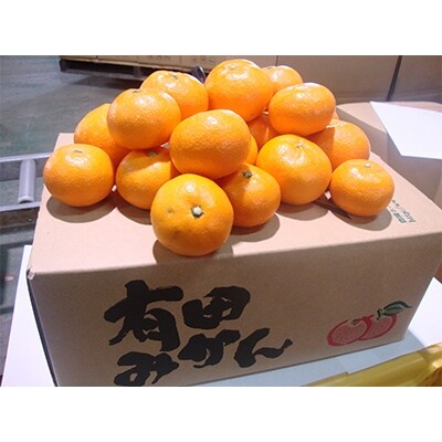 やましん農園(美浜町)の【12月発送】こだわりの完熟有田みかん約10kg【LLサイズ】