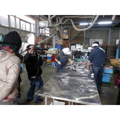 真サバ味醂干し16枚