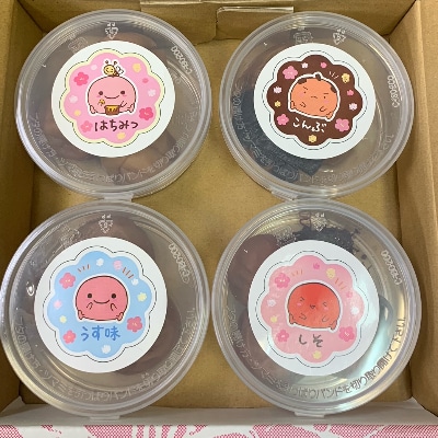 和歌山 紀州南高梅 食べ比べお試しセット 60g×4種類 【2箱】