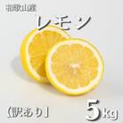 和歌山産　レモン　家庭用　5kg　サイズS～4Lの混合　訳あり